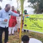 সুন্দরবনে এক লক্ষ নারকেল গাছ বসানোর সংকল্প