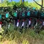 জং-জঙ্গলে মুখ ঢেকেছে সবুজ সাথীর লক্ষাধিক সাইকেল