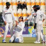 দক্ষিণ আফ্রিকার জয়ের রাশ টানলো পাকিস্তান,নায়ক চল্লিশের নোমান