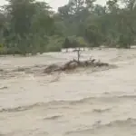 টানা বৃষ্টিতে জলমগ্ন ধূপগুড়ি, বাড়িতে জল
